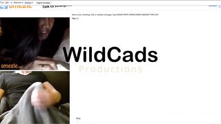 Omegle Worm 528 / Chat Fun