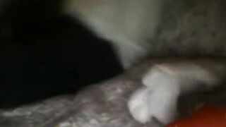 Omegle Girl