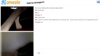 Omegle Worm 386 / Chat Fun