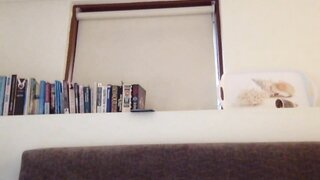 Omegle Dump