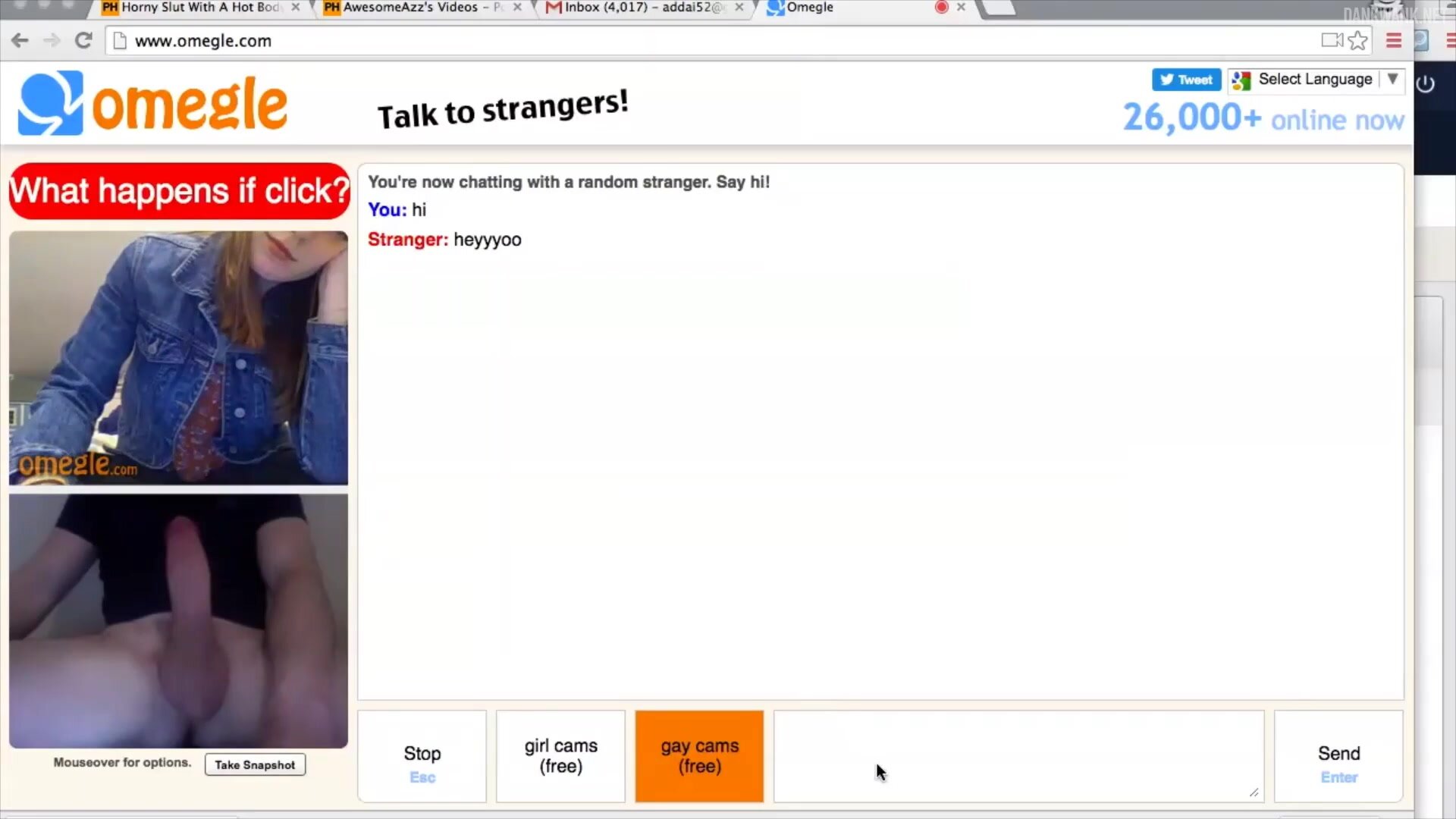Best tags for omegle