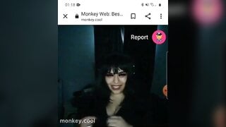 monkey.cool