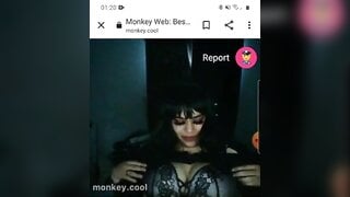 monkey.cool
