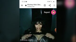 monkey.cool
