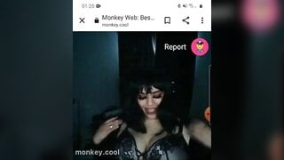 monkey.cool