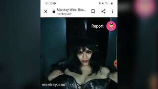 monkey.cool