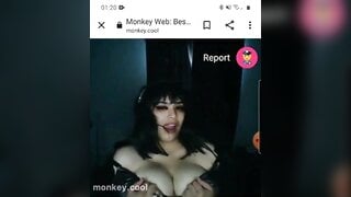 monkey.cool