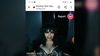 monkey.cool