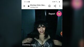 monkey.cool