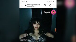 monkey.cool
