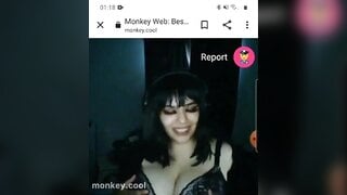 monkey.cool