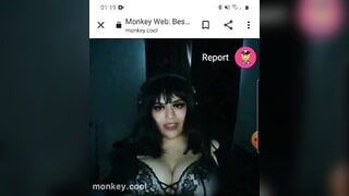 monkey.cool