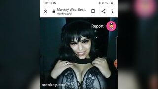 monkey.cool