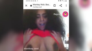 monkey.cool