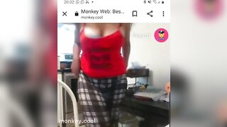 monkey.cool