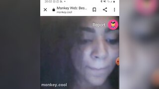 monkey.cool