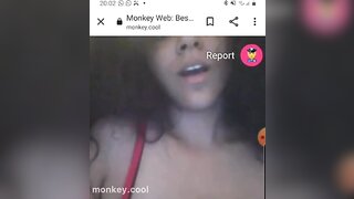 monkey.cool