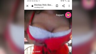 monkey.cool