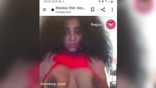 monkey.cool