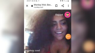 monkey.cool