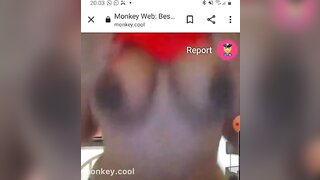 monkey.cool