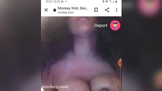 monkey.cool