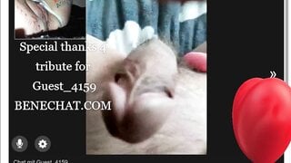 Benechat.com Tribut User Guest_4159