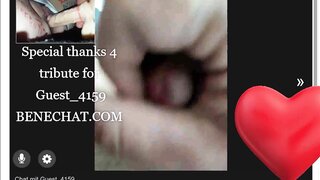Benechat.com Tribut User Guest_4159