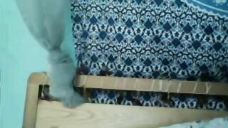 Omegle Worm 103