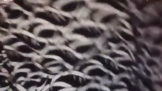 Ometsex