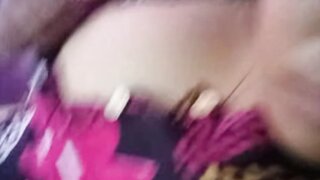 Indo Tits