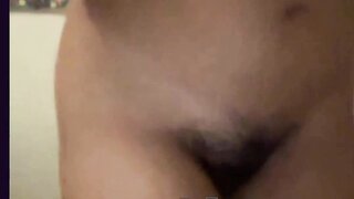 Omchater Flingster Mexican Shows