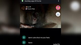 Monkeychat