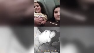 Brazil cute bitch