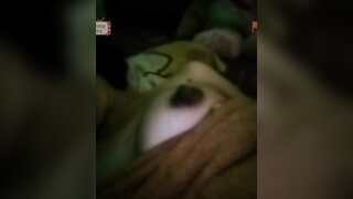 Big tits girl showing pussy on onmetv and masturbating