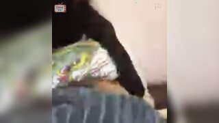 OmeTV - Saudi Arabian Girl helps me cum and plays with her huge boobs