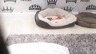 Natalie Plays SPICY Omegle Game (2018)
