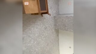 Mongolian girl shows me her perfect tits on OmeTv