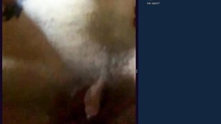 Omchater Flingster Mexican Couple