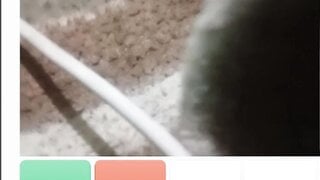 hairy indonesian girl masturbate on ome tv