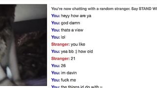 Omegle Worm 676 / Chat Fun