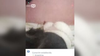 Minichat argentina humping