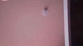 Brazilian babe shows tits and plays with pussy
