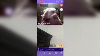 Monkey App ebony