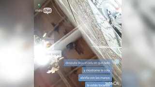 Minichat argentina show pussy and ass