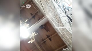 Minichat argentina show pussy and ass