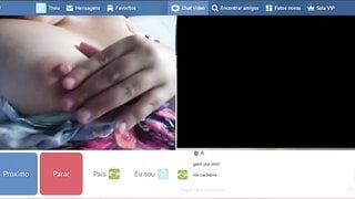 Minichat latina 1