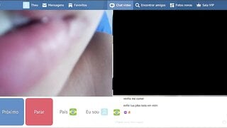 Minichat latina 1