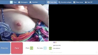 Minichat latina 1
