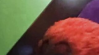 The same Costa Rican girl flashes her big tits twice on different days.